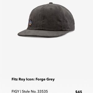 Patagonia Organic Cotton corduroy cap NWT